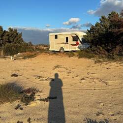 Der treue Challi 🫶❤️