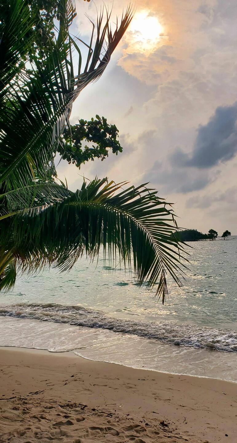 It was a bit overcast this morning!