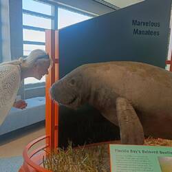 Auch die sind ja sooo süß