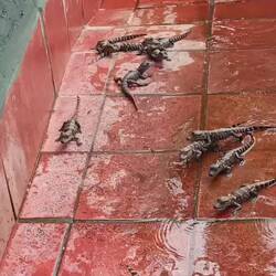 Sind die nicht süß 🥰