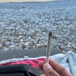 Lecker THC aus dem Fach ganz unten im Grinder