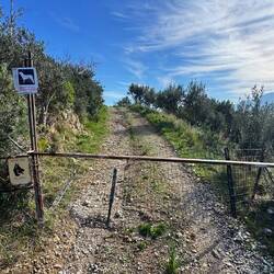 Einfahrt verlassenes Haus