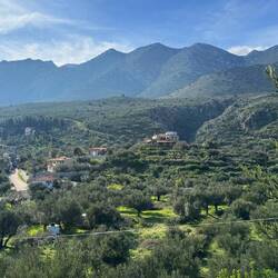 Das Haus von Tavernenbesitzer "Rechte Taverne" aus der linken Ferne 😂🤗