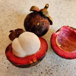 Mangosteen. Apparently the Queen of England loved and offered a big reward for fresh ones