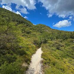 Te Tihi o Ruru - Summit Track