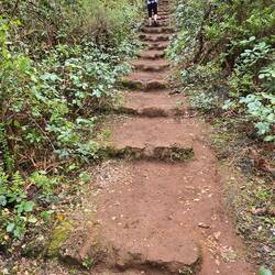 Matschige Treppen... 🙄