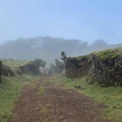 Durch diese hohle Gasse.....