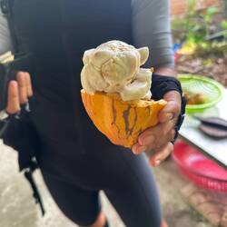 Cacao seeds-we tasted them-there was a hint of cocoa