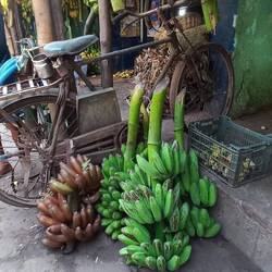 Marché aux bananes