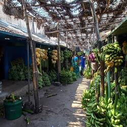 Marché aux bananes