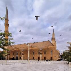 Parasols en forme de fleur de lotus. Mosquée el Hussein, Le Caire