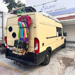 Belgier - samt Feuerholz