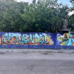 fasziniert mich immer wieder