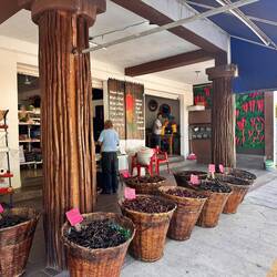 Verschiedene getrocknete Chili's, werden im Hintergrund gemahlen