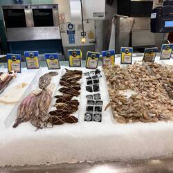 übriges Meeresgetier