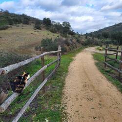 Leni schaut sich schon mal die spanische Bahntrasse an.
