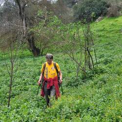 Es gesellen sich Disteln dazu.