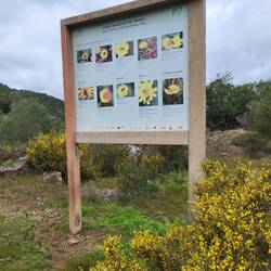 Eine von vielen Schautafeln.