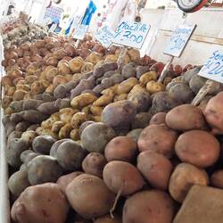 Kartoffeln in allen Variationen....