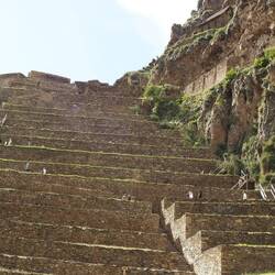 Es brauchte viel Schnauf um hochzukommen.....