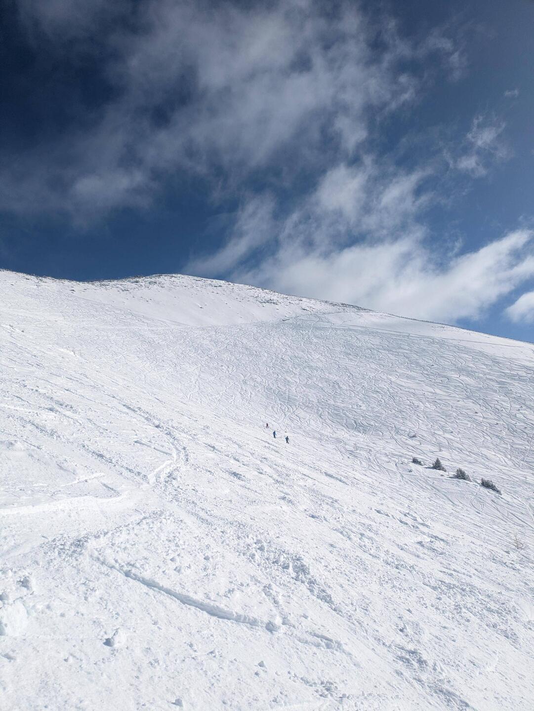 zu Spät für die ersten Spuren