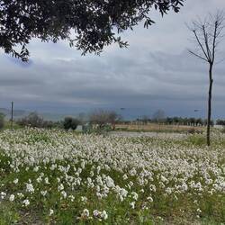 Das Panorama hinter Wolken