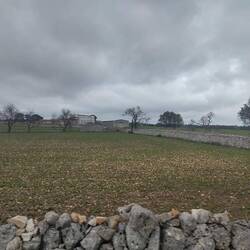 Wer glaubt denen die Steine aus den Feldern??