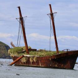 Coal loader shipwreck now a bird rookery