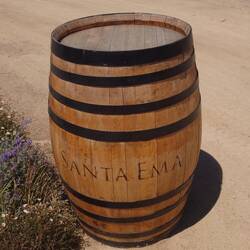 Second vineyard - Santa Ema