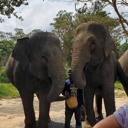 The " Besties" and their trainer!