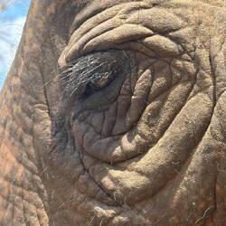 Just look at those eyelashes!