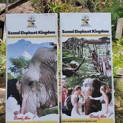 It's so admirable that they give these elephants such a good life!