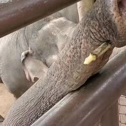 Little Miss Smarty Pants! 🤣