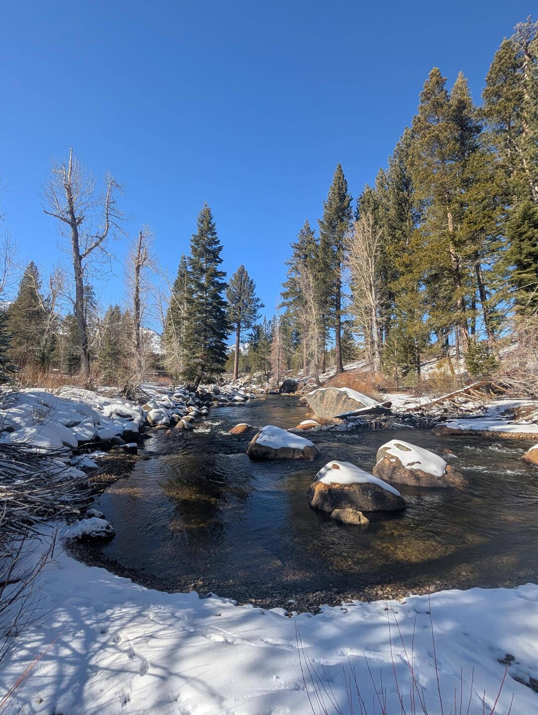 Truckee River