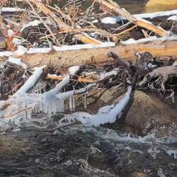Truckee River