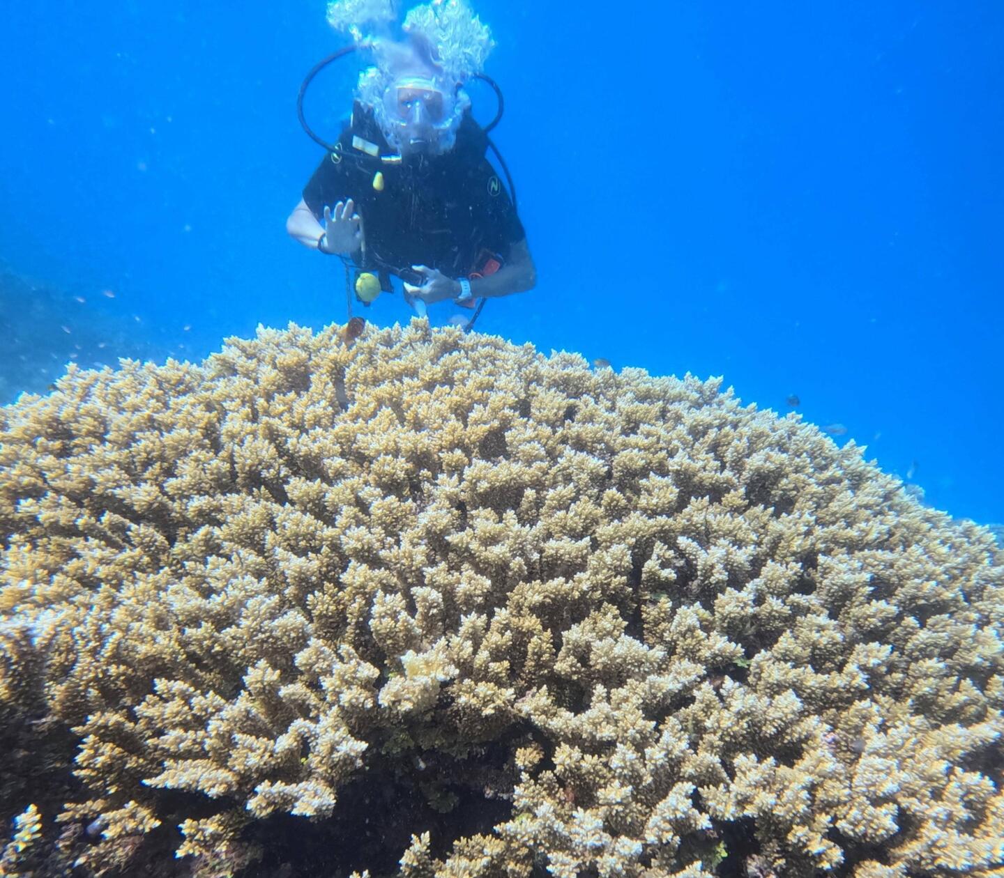 Favorite dive partner