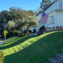 Houses near the Golden Gate