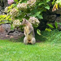 Mein Highlight des Tages 😍