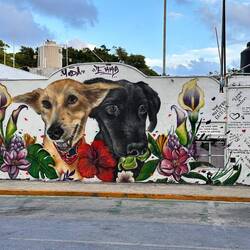 Teils echt Hut ab vor dem Können der Strassenmaler