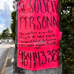 Personalsuche - kann lesen+schreiben -gültige Gesundheitskarte -hat verfügbare Zeit -kann Tostillas