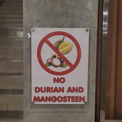 Hahahhaaaa - Nellylein, da werden Erinnerungen wach 🫶