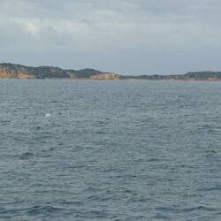 Port Nepean NP