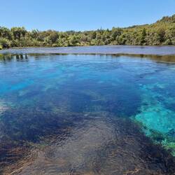 Te Waikoropupu Springs