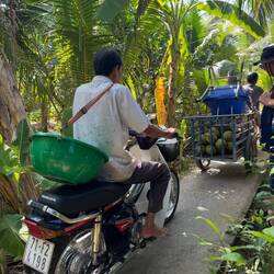 Auf der Hauptstraße ist viel los 😅