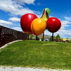 Cromwell - reminded us of the Central Valley but greener. Lots of fruit orchards