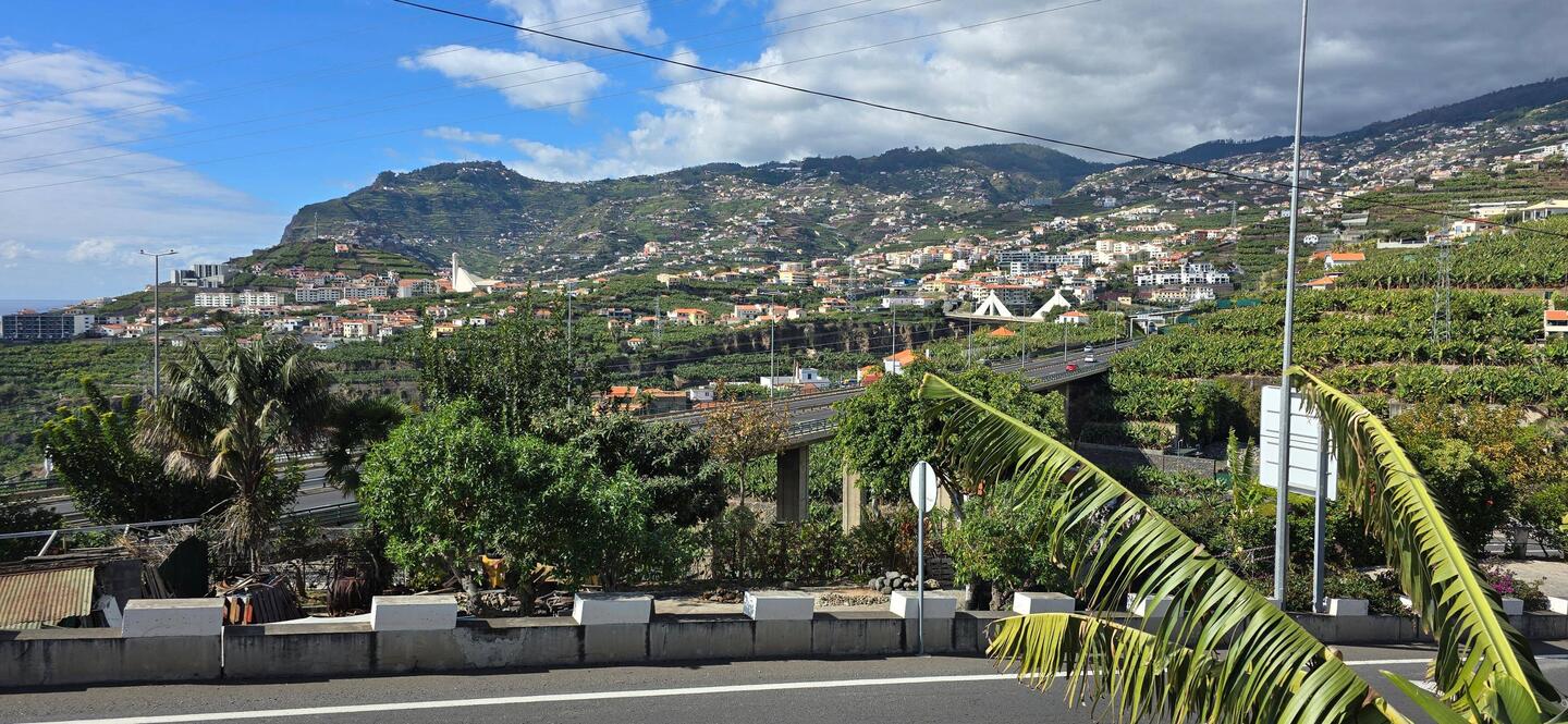 Ausblick auf Funchal