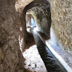 Hier ist teilweise krabbeln angesagt