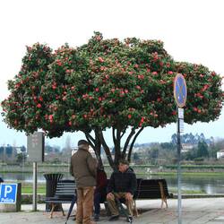 Rentner unter sich... ;-)