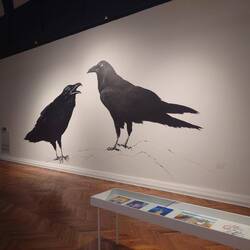 The witnesses are the crows