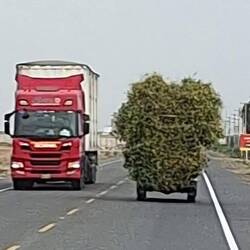 Schwertransport anderer Art.